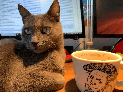 Centar za potporu e-učenju